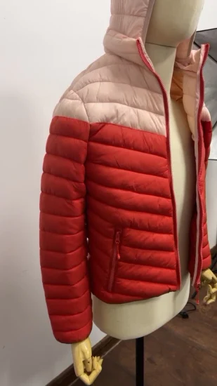 Veste d'hiver rembourrée en duvet d'oie de canard pour hommes, uniforme de travail léger et emballé avec Logo personnalisé, vente en gros